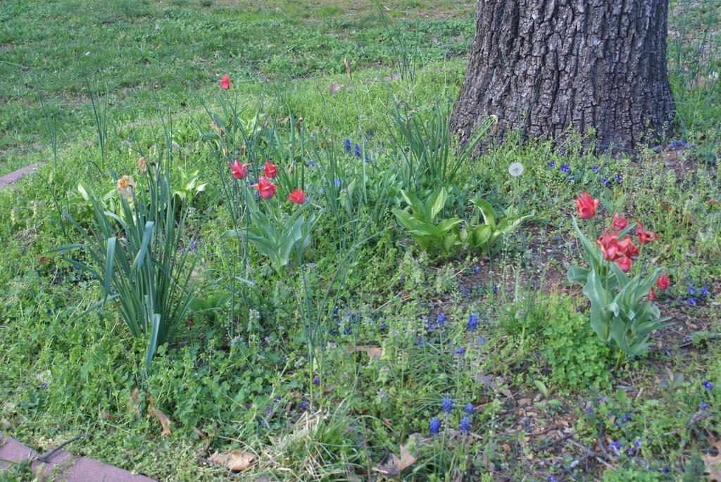 Ebenezer House Bed & Breakfast Burtonsville エクステリア 写真