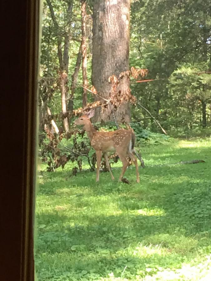 Ebenezer House Bed & Breakfast Burtonsville エクステリア 写真